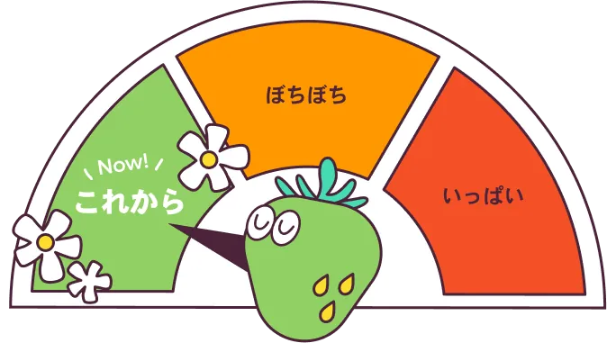 〇〇期