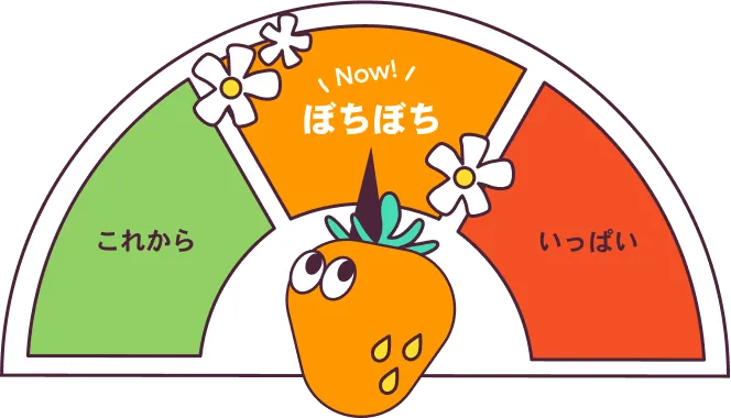 ●●期
